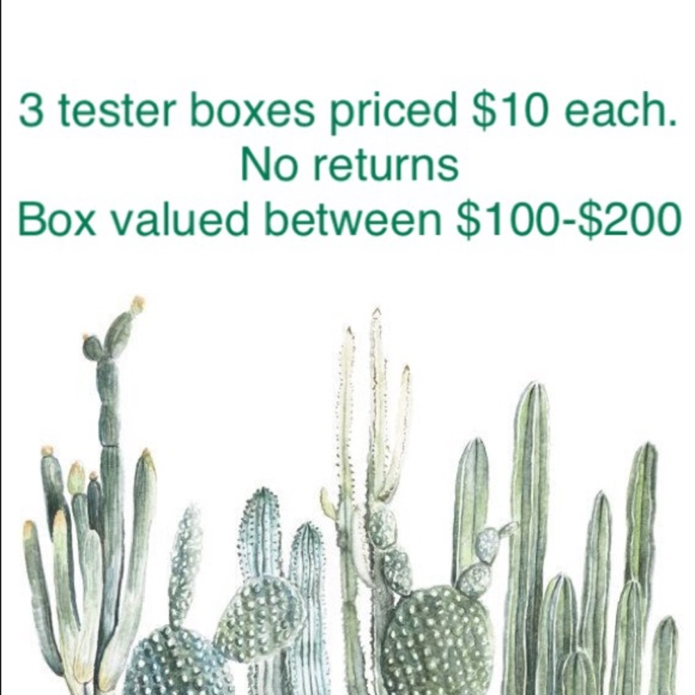 ⭐️1 LEFT⭐️ Tester Box for PLUS SIZED BEAUTIES - Picture 3 of 4